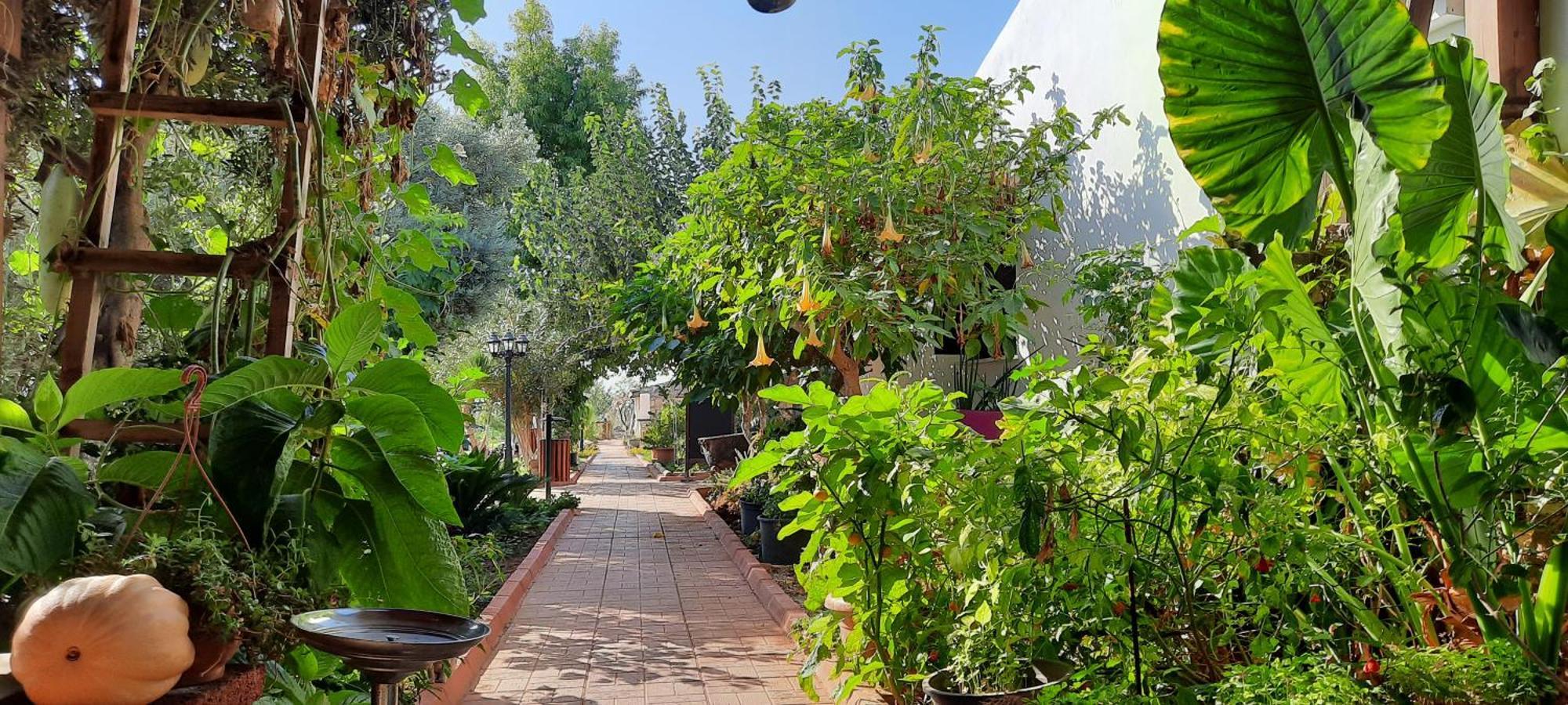 Osman Aga Kultur House Apartment Famagusta  Bagian luar foto